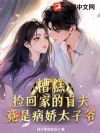 糟糕!捡回家的盲夫竟是病娇太子爷