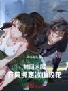 轮回木屋,开局绑定冰山校花